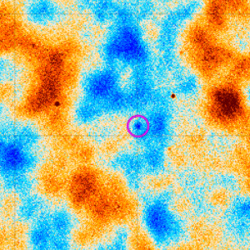 The SZ cluster..